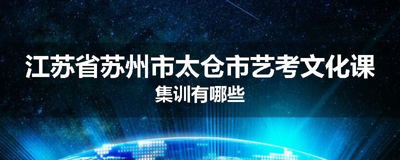 江苏省苏州市太仓市艺考文化课集训有哪些