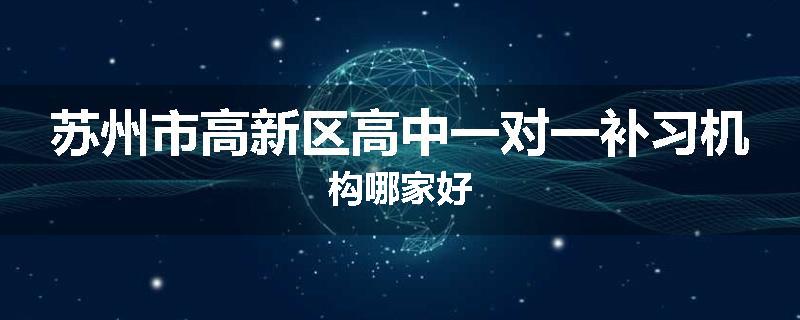 苏州市高新区高中一对一补习机构哪家好