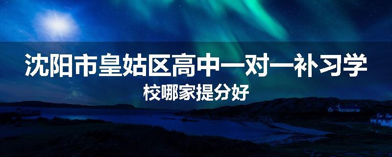 沈阳市皇姑区高中一对一补习学校哪家提分好