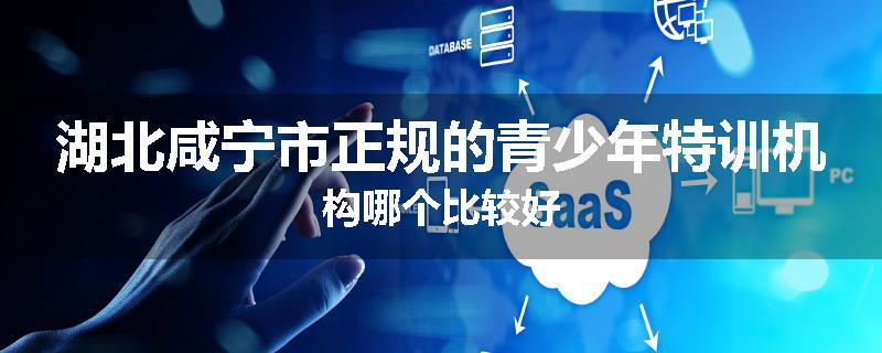 湖北咸宁市正规的青少年特训机构哪个比较好