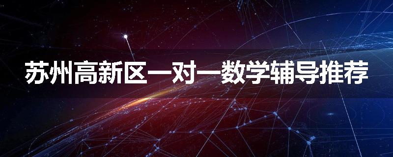 苏州高新区一对一数学辅导推荐