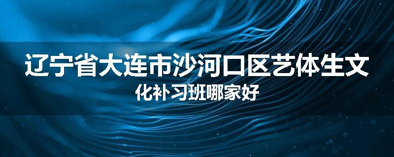 辽宁省大连市沙河口区艺体生文化补习班哪家好
