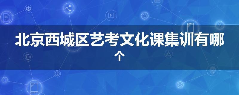 北京西城区艺考文化课集训有哪个