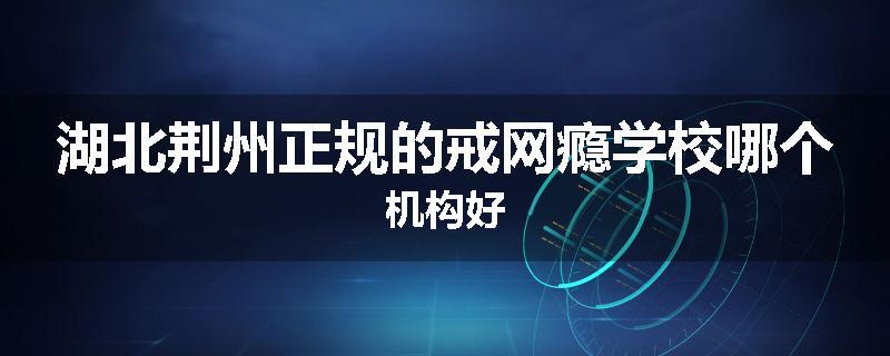 湖北荆州正规的戒网瘾学校哪个机构好