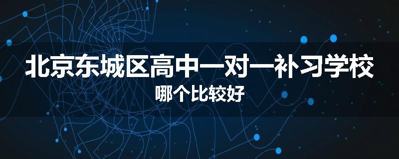 北京东城区高中一对一补习学校哪个比较好
