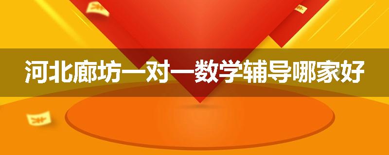 河北廊坊一对一数学辅导哪家好