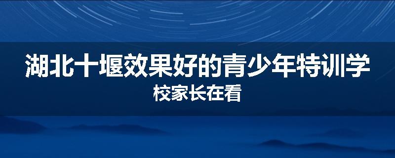 湖北十堰效果好的青少年特训学校家长在看