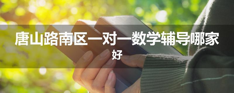 唐山路南区一对一数学辅导哪家好