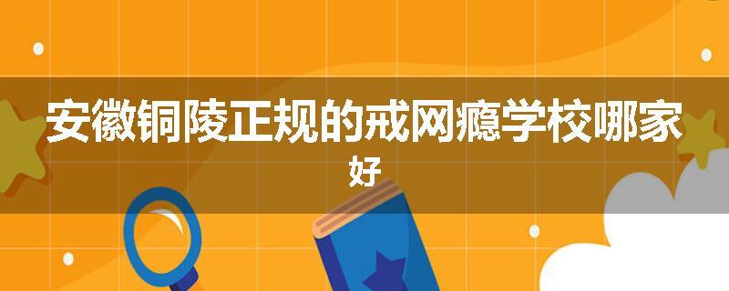 安徽铜陵正规的戒网瘾学校哪家好