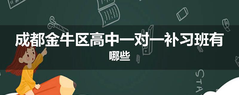 成都金牛区高中一对一补习班有哪些