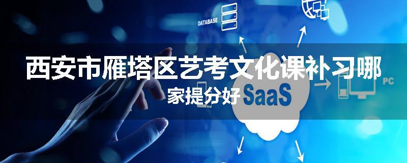 西安市雁塔区艺考文化课补习哪家提分好