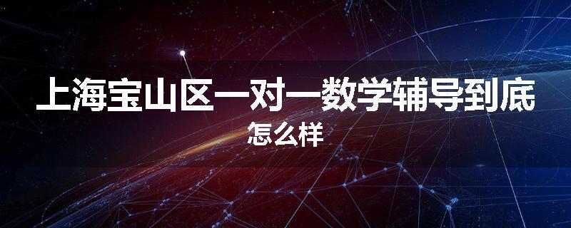 上海宝山区一对一数学辅导到底怎么样