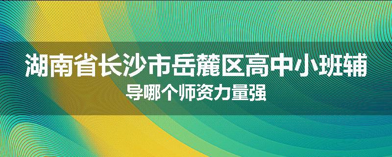 湖南省长沙市岳麓区高中小班辅导哪个师资力量强