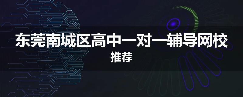 东莞南城区高中一对一辅导网校推荐