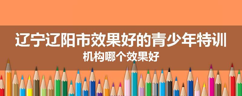 辽宁辽阳市效果好的青少年特训机构哪个效果好