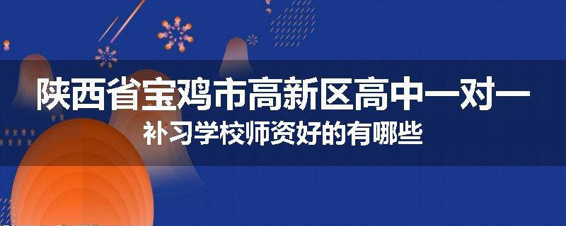 陕西省宝鸡市高新区高中一对一补习学校师资好的有哪些