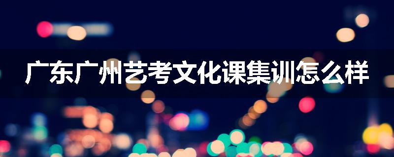 广东广州艺考文化课集训怎么样