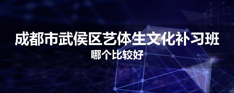 成都市武侯区艺体生文化补习班哪个比较好