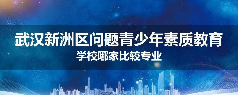 武汉新洲区问题青少年素质教育学校哪家比较专业