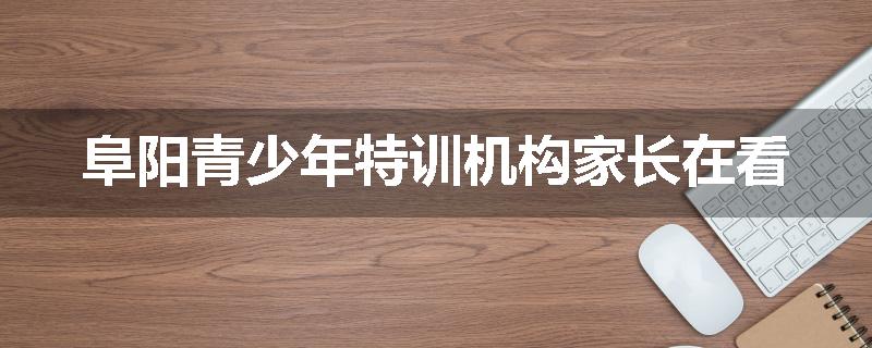 阜阳青少年特训机构家长在看
