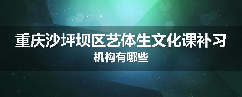 重庆沙坪坝区艺体生文化课补习机构有哪些