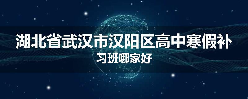 湖北省武汉市汉阳区高中寒假补习班哪家好