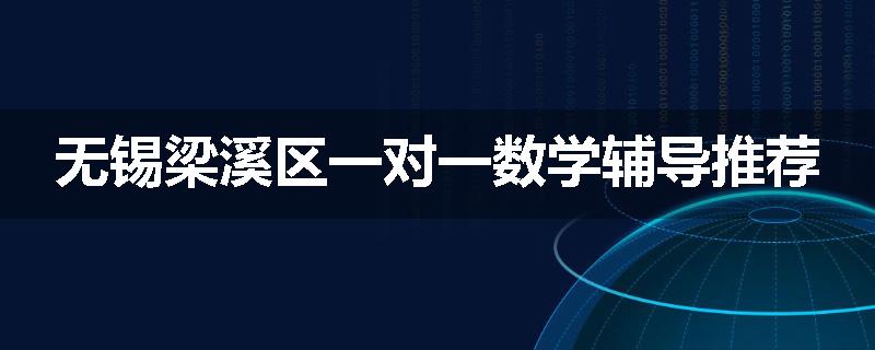 无锡梁溪区一对一数学辅导推荐