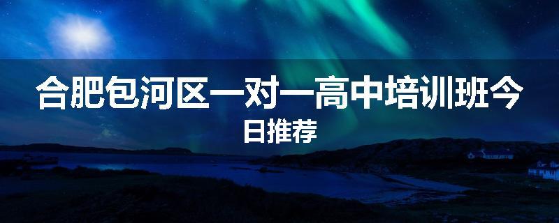 合肥包河区一对一高中培训班今日推荐