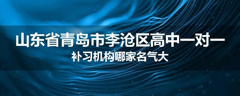 山东省青岛市李沧区高中一对一补习机构哪家名气大