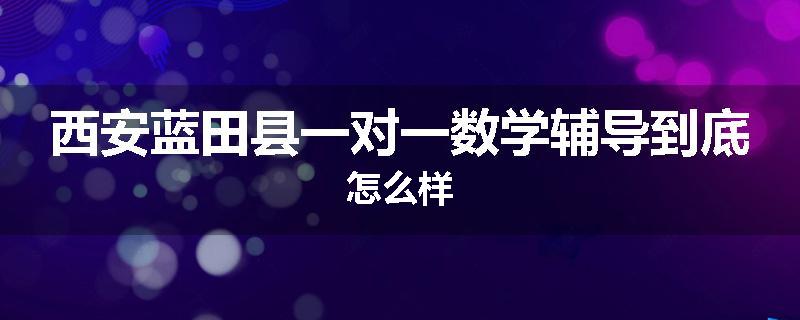西安蓝田县一对一数学辅导到底怎么样