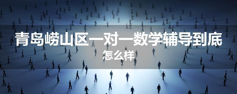 青岛崂山区一对一数学辅导到底怎么样