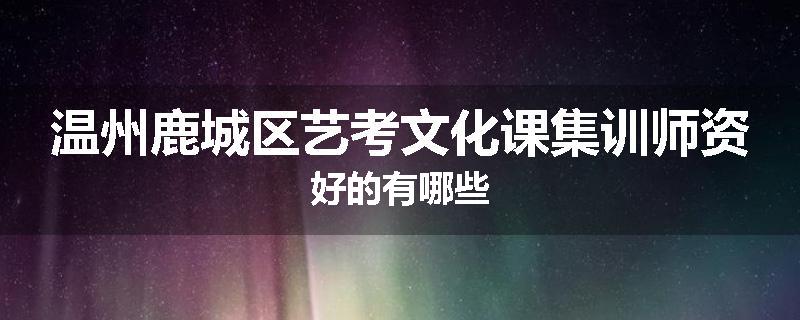 温州鹿城区艺考文化课集训师资好的有哪些
