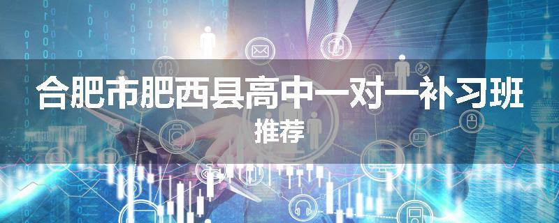 合肥市肥西县高中一对一补习班推荐