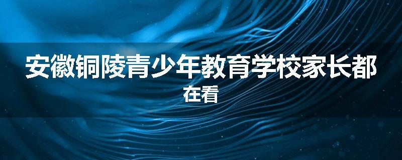 安徽铜陵青少年教育学校家长都在看