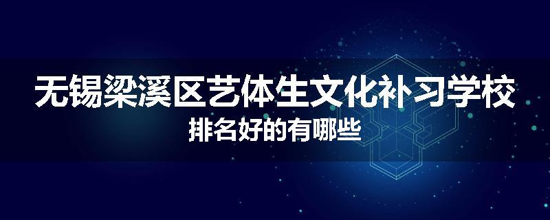 无锡梁溪区艺体生文化补习学校排名好的有哪些