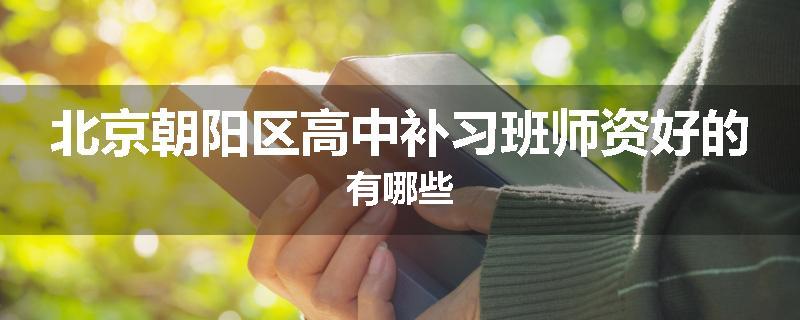 北京朝阳区高中补习班师资好的有哪些
