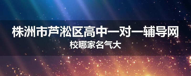 株洲市芦淞区高中一对一辅导网校哪家名气大
