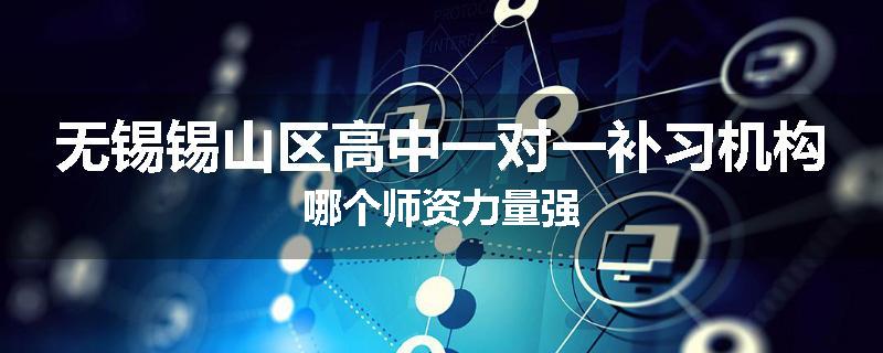 无锡锡山区高中一对一补习机构哪个师资力量强
