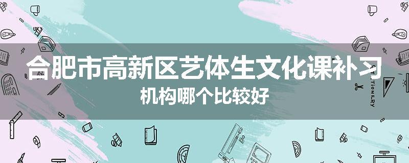 合肥市高新区艺体生文化课补习机构哪个比较好