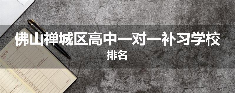 佛山禅城区高中一对一补习学校排名