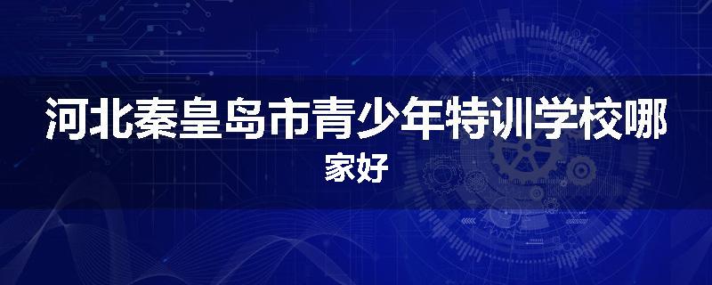 河北秦皇岛市青少年特训学校哪家好
