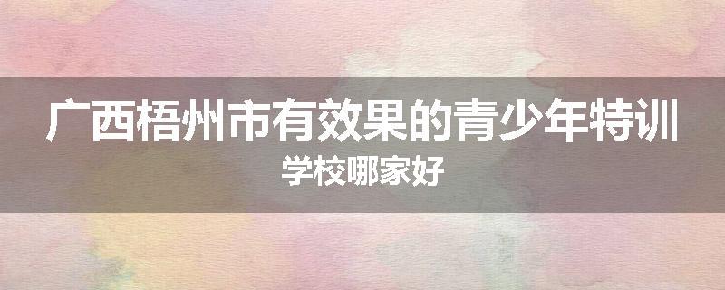 广西梧州市有效果的青少年特训学校哪家好