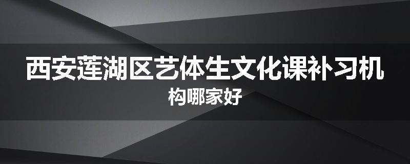 西安莲湖区艺体生文化课补习机构哪家好