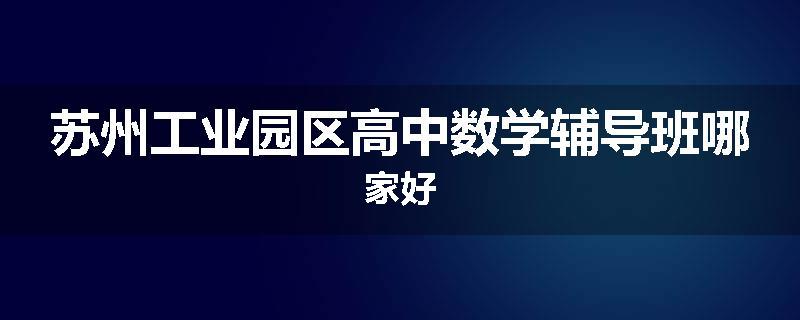 苏州工业园区高中数学辅导班哪家好