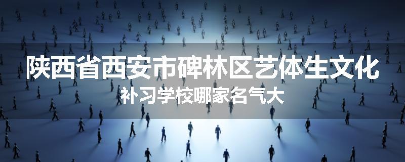 陕西省西安市碑林区艺体生文化补习学校哪家名气大