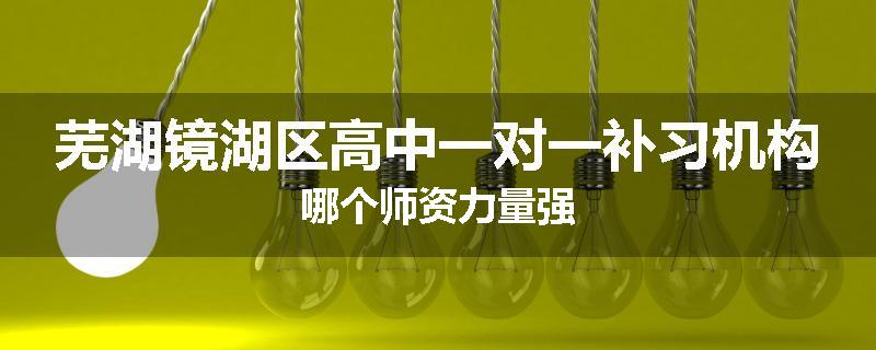 芜湖镜湖区高中一对一补习机构哪个师资力量强