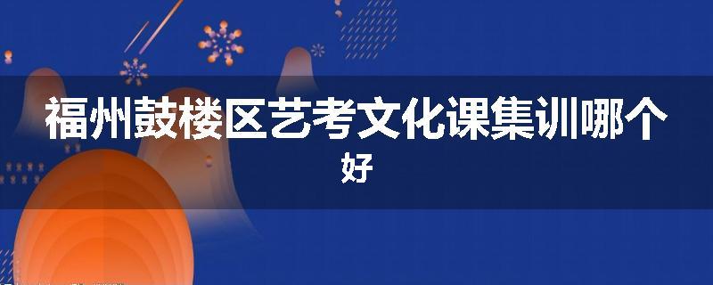 福州鼓楼区艺考文化课集训哪个好