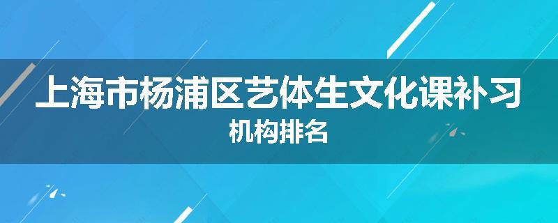 上海市杨浦区艺体生文化课补习机构排名