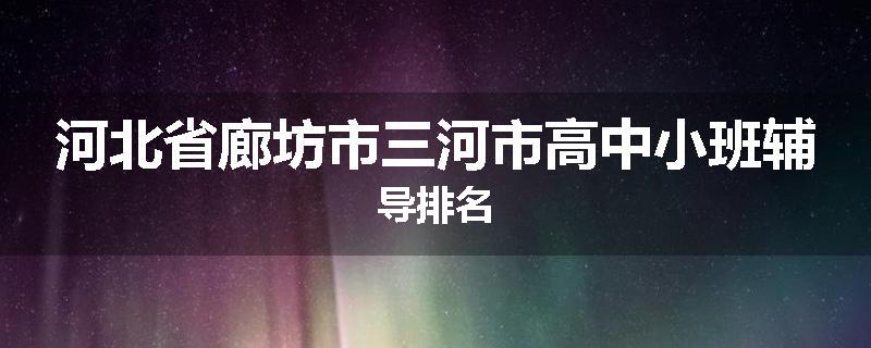 河北省廊坊市三河市高中小班辅导排名