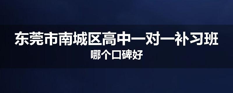 东莞市南城区高中一对一补习班哪个口碑好